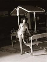 A szabad akarat érvényesülése, szolidan erotikus felvételek, 10 db vintage negatív + 8 db vintage fo...