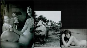 A szabad akarat érvényesülése, szolidan erotikus felvételek, 10 db vintage negatív + 8 db vintage fo...