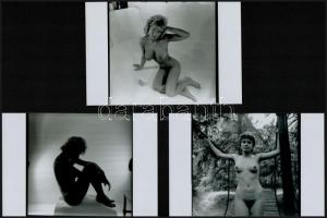 A szabad akarat érvényesülése, szolidan erotikus felvételek, 10 db vintage negatív + 8 db vintage fo...