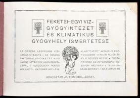 cca 1900-1910 Feketehegy-fürdő. Feketehegyi víz-, gyógyintézet és klimatikus gyógyhely ismertetése. ...