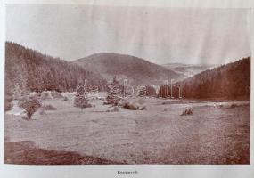 cca 1900-1910 Feketehegy-fürdő. Feketehegyi víz-, gyógyintézet és klimatikus gyógyhely ismertetése. ...