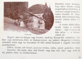 cca 1900-1910 Feketehegy-fürdő. Feketehegyi víz-, gyógyintézet és klimatikus gyógyhely ismertetése. ...