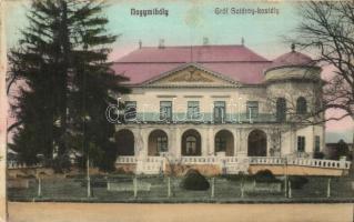 1911 Nagymihály, Michalovce; Gróf Sztáray kastély. Kiadja Freireich / Schloss / castle