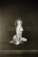 Kis kalandok a kamerával, szolidan erotikus felvételek, 9 db vintage negatív + 8 db vintage fotó és/...