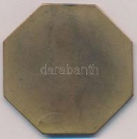 Matéka Sándor (1890-1971) 1925. "M. Kir. 7. Honv. Vadász dandár versenydíja" Br plakett (4...