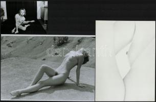 A fiatalság örök, szolidan erotikus felvételek, 7 db vintage negatív + 7 db vintage fotó és/vagy mai...