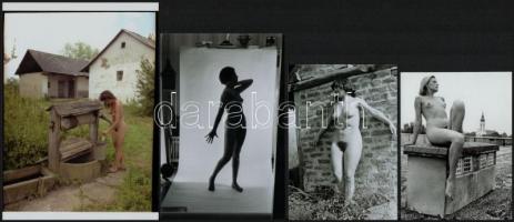 A fiatalság örök, szolidan erotikus felvételek, 7 db vintage negatív + 7 db vintage fotó és/vagy mai...