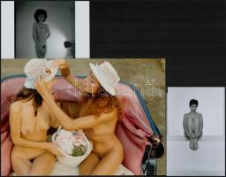 Szerelem a láthatáron, szolidan erotikus felvételek, 5 db vintage negatív + 8 db vintage fotó és/vag...