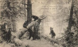 7 db RÉGI orosz városképes lap: Szentpétervár, Gatchina, Tzarskoé-Sélo / 7 pre-1945 Russian town-vie...