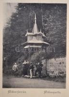 cca 1900-1910 Tusnád-fürdő. Fekete-fehér fotókból álló leporelló. Brassó-Tusnád-Százsváros, Adler Al...