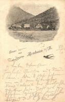 1897 (Vorläufer!) Neuhaus an der Donau, Gruss aus... / swallow