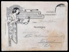 cca 1910 Üdvözlet Temesvárról. 9 lapos, fekete-fehér fotókat tartalmazó leporelló Temesvárról. Az el...