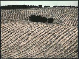 cca 1987 Gebhardt György (1910-1993) budapesti fotóművész hagyatékából 2 db vintage fénykép, az egyi...