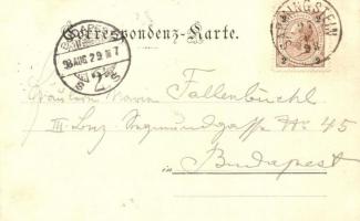 1898 (Vorläufer!) Sarmingstein (St. Nikola an der Donau)