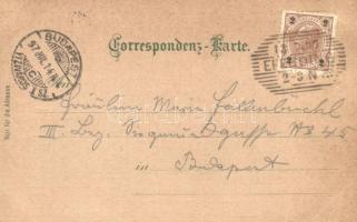 1897 (Vorläufer!) Eferding, Starhembergstrasse, Hauptplatz, Schloss, Aussichtswarte a. d. Mayerhofer...