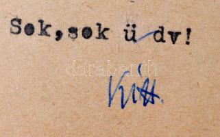 1957 Kittenberger Kálmán (1881-1958) Afrika-kutató, vadászíró gépelt, aláírt levele Dr. Kovács Feren...