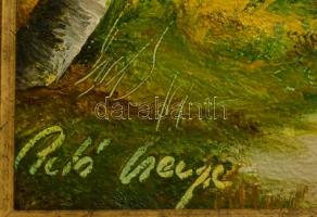 Pető Csenge (1980-): A ligeti fák tövében. Olaj, farost, jelzett, keretben, 23×30 cm