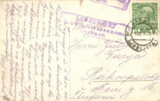 Ljubljana, Laibach; Dunajska cesta / street view, tram, shop of K. Camernik