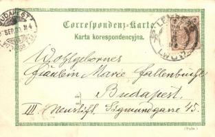 1897 (Vorläufer!) Lviv, Lwów, Lemberg; Ulica Karola Ludwika, Kosciol Sw. Jura, Gmach Seimowy. Wierus...