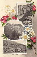 1909 Leysin. Floral litho montage