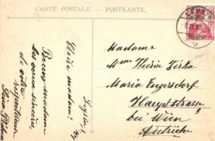 1909 Leysin. Floral litho montage