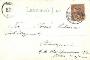 1900 Flowers. Floral litho greeting card (kopott sarkak / worn corners)