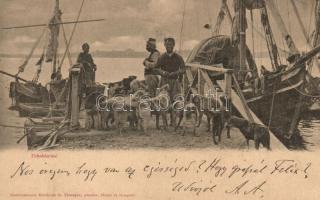 1899 Tchektirme, Cektirme, Cektiri; Turkish ship with fishermen and stray dogs. Etablissement Horticole de Therapia + Austrian stamp