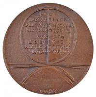 Borsos Miklós (1906-1990) 1956. "Steiner Lajos 1871-1944" Br emlékérem, hátoldalán gravíro...