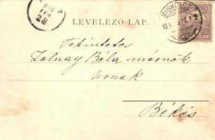 1900 Miskolc, Pislog, mint miskolczi kocsonyában a béka. Kiadja Gedeon A. humoros, folklór művészlap...