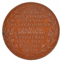 1790. "Brabant függetlenségének elnyerésére kiadott emlékérem" Br emlékérem (11,6g/32mm) T:2 1790. "Commemorating the Brabant revolution" Br commemorative medallion (11,6g/32mm) C:XF