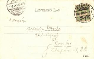 1902 Szeged, Kir. ítélőtábla és kir. ügyészség. Kiadja Schmidt Edgar (EK)