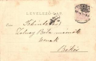 1899 Miskolc, Erzsébet tér, Kossuth szobor. Kiadja Ferenczi B. Brüder Pick (EB)