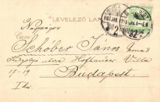 1903 Jégvirágok IV. / Frostwork, sledding ladies, unisgned Raphael Kirchner art postcard, Kosmos lit...