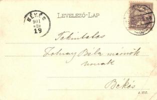 1901 Déva, Deva; vár. Kiadja Hirsch Adolf 1331. / Schloss / castle (EB)