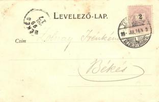 1899 Temesvár, Timisoara; Józsefváros, Városi bérház, üzlet. Kralicsek Béla kiadása / Iosefin, tenem...