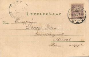 1900 Félixfürdő, Baile Felix; Hőforrás, fürdő pavilon. Kiadja Lang József / thermal spring, spa hall...