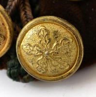 cca 1930 Bársony erdészeti diáksapka 12 réz gombbal, sértetlen, szép állapotban