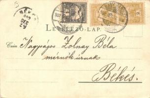 1903 Nagykároly, Carei; utcakép. Kiadja Eigner Simon / street view (vágott / cut)