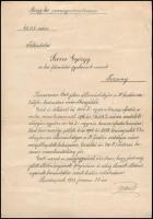 1913 Budapest, kataszteri mérnöki kinevezés Szova György pozsonyi felmérési gyakornok részére, Teleszky János (1868-1939) pénzügyminiszter aláírásával