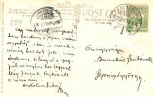 1907 I won't. / Cat art postcard. C.W. Faulkner & Co. No. 453 E. s: Louis Wain