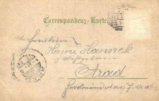 ~1899 Vienna, Wien I. Stefansdom / cathedral. Art Nouveau, floral, litho (Rb)