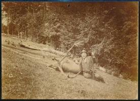 cca 1905 Cornides György főerdőtanácsos (Bereg vármegye) az általa elejtett szarvasbikával, fotó, 12×17 cm