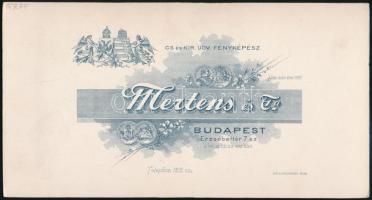 cca 1900 Huszár díszruhában, keményhátú fotó Mertens és Fia budapesti műterméből, szép állapotban, 2...