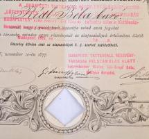 Budapest 1877. "Lótenyésztés Emelésére Alakult Részvénytársaság Budapesten" névre szóló ré...