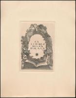 Gara Arnold (1882-1929): Ex libris Rosa Braun 1913. Rézkarc, papír. 10x15 xm