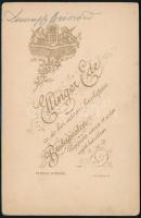 cca 1895 Dessewffy Arisztid (1854-1922) képviselőházi háznagyi titkár, politikai író, keményhátú fot...