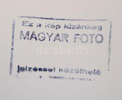 cca 1951 Hollenzer Béla (1910 k.-1970 k.): Az inotai hőerőmű építése, 35 db sajtófotó, hátulján pecs...