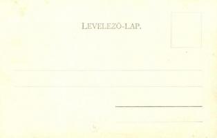 Diósgyőr (Miskolc); Vasgyár bejárata. Verő J. kiadása