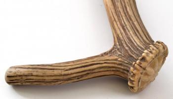 Vadász bot szarvas aganccsal és havasi gyopár faragással 115 cm