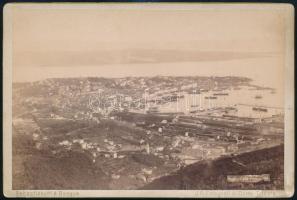 cca 1890 Trieszt, látkép a kikötővel, keményhátú fotó, 11×16,5 cm / Trieste, port, vintage photo